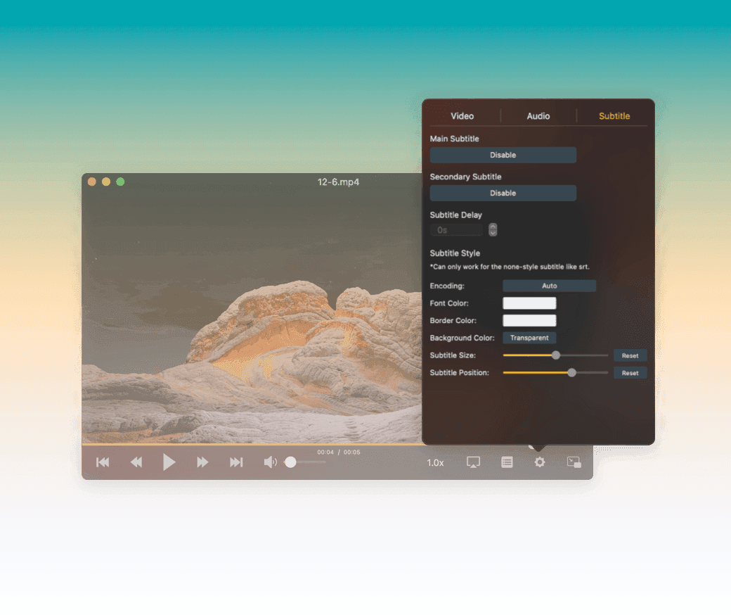 OmniPlayer 官方字幕调整界面