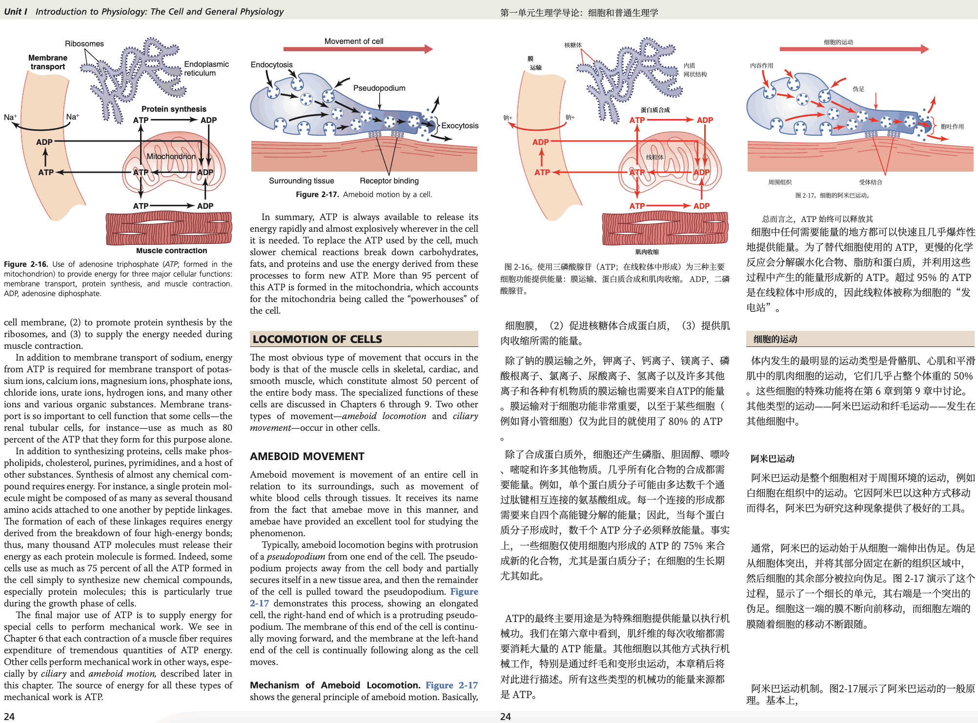趣卡翻译官方文档排版效果示例